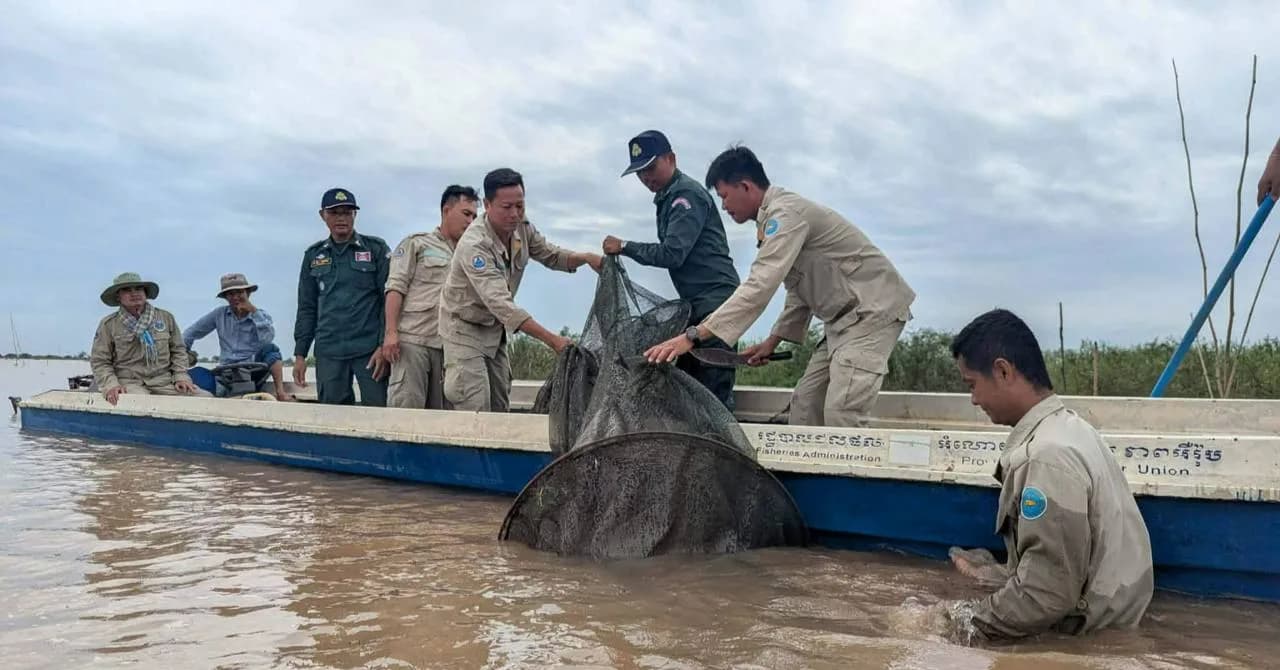ជំនាញរដ្ឋបាលជលផលកំពង់ចាម សហការជាមួយ អាជ្ញាធរមូលដ្ឋាន  បង្ក្រាបបទល្មើសជលផល ចំនួន ០៣ករណី នៅក្នុងភូមិសាស្រ្តស្រុកកងមាស និងស្រុកបាធាយ