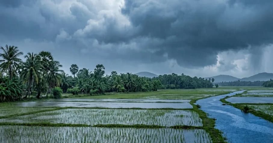 ក្រសួងធនធានទឹក និងឧតុនិយម៖ ព្យុះសង្ឃរាទី១៣ «ដូលហ្វីន» បន្តបង្កើនឥទ្ធិពលលើរបបខ្យល់មូសុងនិរតី នាំឱ្យមានភ្លៀងធ្លាក់ពីមធ្យមទៅច្រើន លាយឡំផ្គរ រន្ទះ និងខ្យល់កន្ត្រាក់ ចាប់ពីថ្ងៃទី៥ ដល់ថ្ងៃទី៧ ខែសីហា